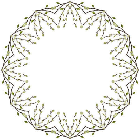 Circular Frame of Spring branches Catkins Willow   Isolated on white backgroundの写真素材