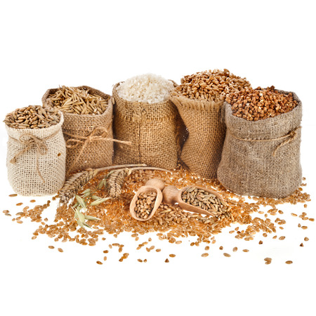 Corn kernel seed meal and grains in bags with wooden scoop isolated on a white backgroundの写真素材