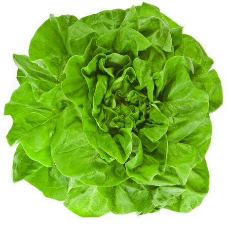 Bunch of Fresh Green Salad Isolated On White Backgroundの写真素材