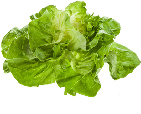 Bunch of Fresh Green Salad Isolated On White Backgroundの写真素材