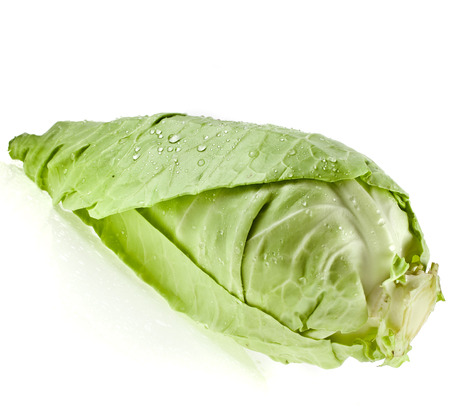 Sweet pointed cabbage on white backgroundの写真素材