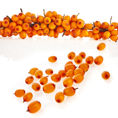 ripen sea buckthorn berries close up isolated on white backgroundの写真素材