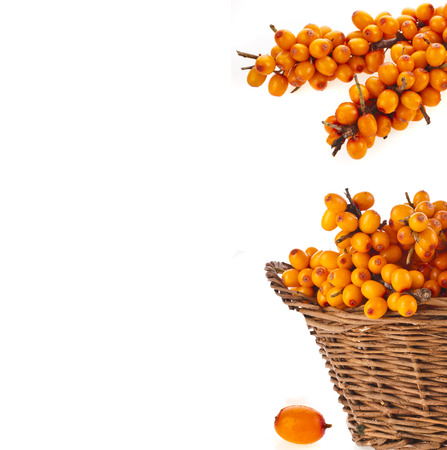 border of wicker basket full sea buckthorn berries isolated on white backgroundの写真素材