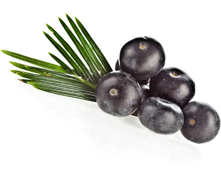 fresh fruits with palm leaves isolated on white backgroundの写真素材
