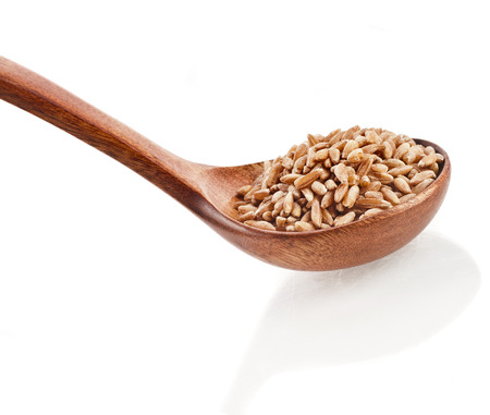 grains spelt in spoon close up isolated on pure white backgroundの写真素材