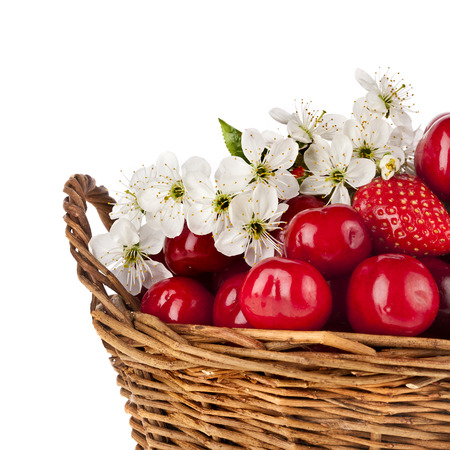 Sweet strawberry and cherries with flowers in basket isolated on white backgroundの写真素材