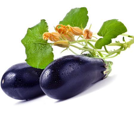 Eggplant aubergine Isolated on white backgroundの写真素材