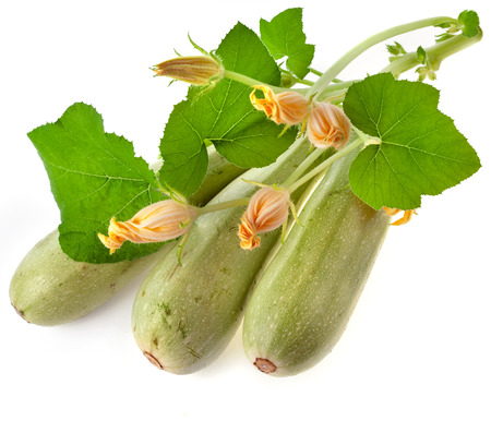 Fresh vegetable marrow zucchini isolated on a white backgroundの写真素材
