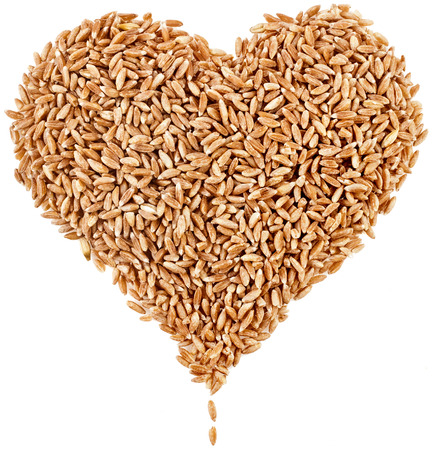 Shape Heart of Spelt Grains Close up top view surface isolated on pure white backgroundの写真素材