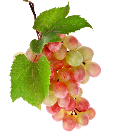 bunch of ripe grapes and green leaves closeup on white backgroundの写真素材