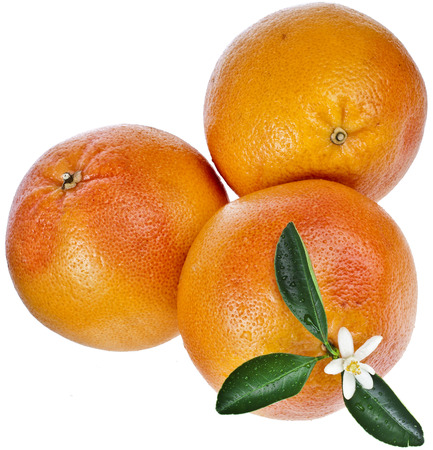 citrus grapefruit detail close up isolated on white backgroundの写真素材