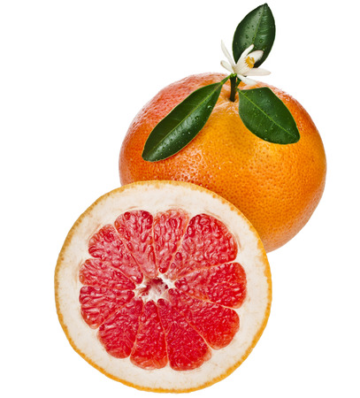 citrus grapefruit slice detail close up isolated on white backgroundの写真素材