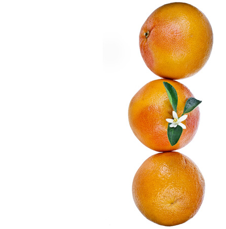 tower border of citrus grapefruit detail close up isolated on white backgroundの写真素材