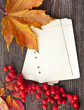 Autumn leaves with paper sheet on wooden background textureの写真素材