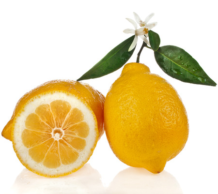 Beautiful citrus lemon with slie close up isolated on white backgroundの写真素材