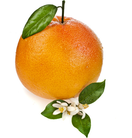 one citrus grapefruit with leaves close up isolated on white backgroundの写真素材
