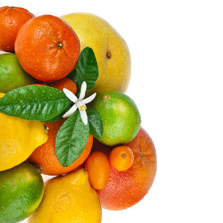 Beautiful citrus fruits with flower isolated on white backgroundの写真素材