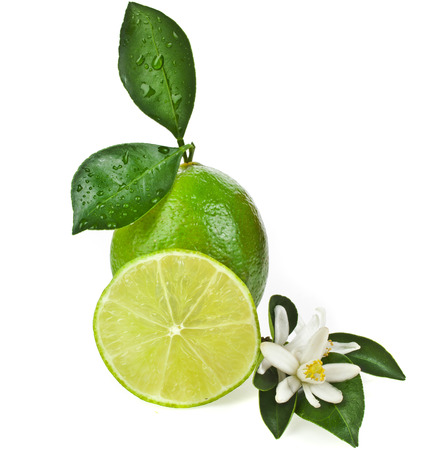 Lime citrus fruit with leaves close up isolated on white backgroundの写真素材