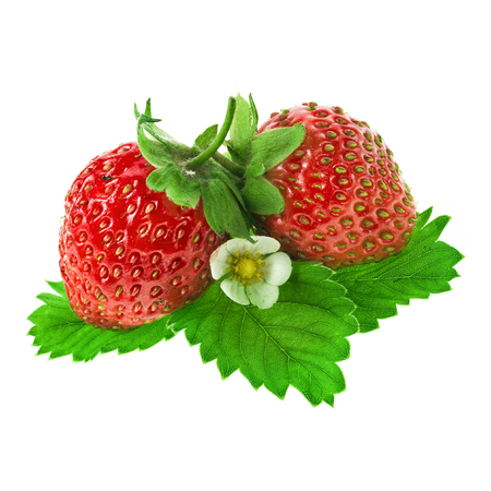 Strawberries with leaves iIsolatedの写真素材