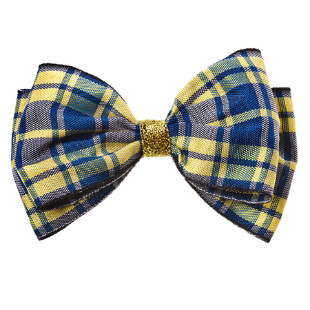 Handmade bow tie isolated on white backgroundの写真素材