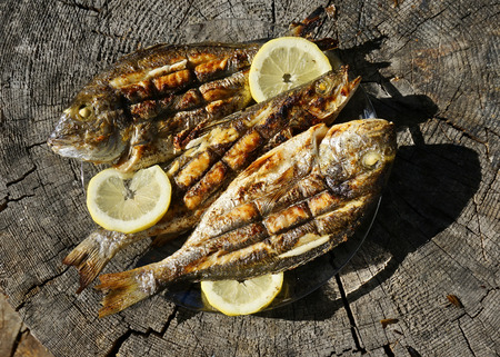 Seabass and Dorado fish grilledの写真素材