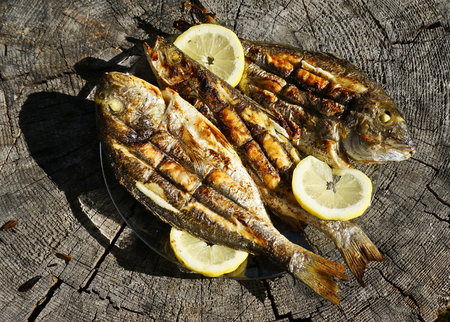 Seabass and Dorado fish grilledの写真素材