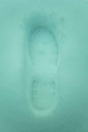 Footprints In Snow. Human Footprints In The Snow.の写真素材