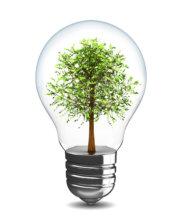 3d illustration of light bulb with tree insideの写真素材