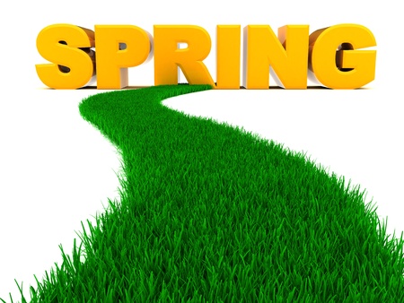 abstract 3d illustration of grass road to spring signの写真素材