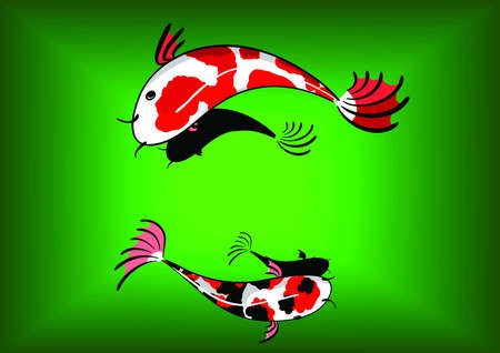 koi fancy carpのイラスト素材