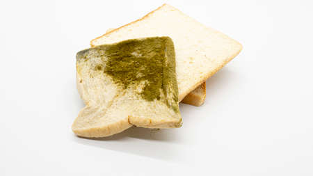 pile of nice buns with sliced moldy bread, isolated on a white backgroundの写真素材