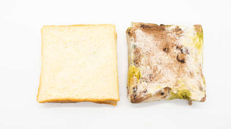 Comparison of Nice Bread with Moldy Bread isolated on white backgroundの写真素材