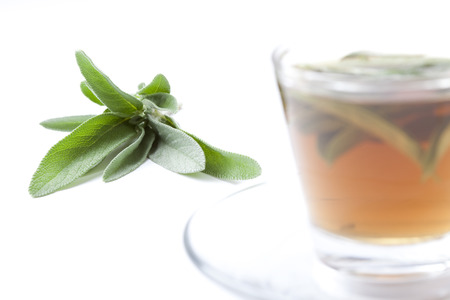 closeup of sage tea inside transparent glass, with sage leaf inside and in background, on white background, isolated,の写真素材