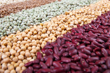 close up of colorful raw legumes, with red kidney beans, chick peas, green peas, lentils, white beans,の写真素材