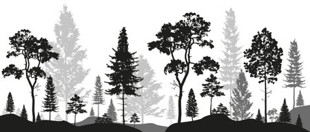 Forest landscape silhouettes panorama with pines, fir trees, cedars in black and gray tones. Editable vector illustration with isolated stand alone trees for your own design.のイラスト素材