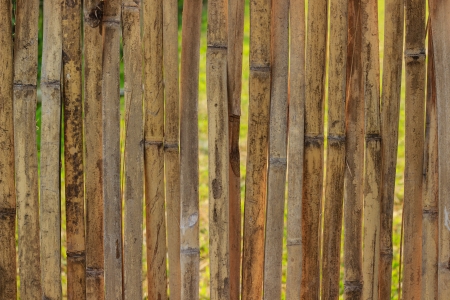 bamboo fenceの写真素材