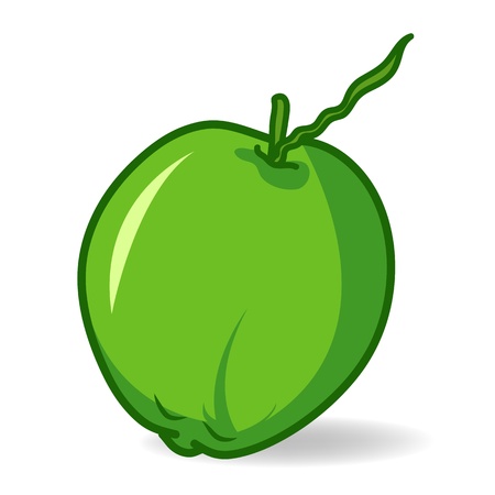 coconut clip-art on White backgroundのイラスト素材
