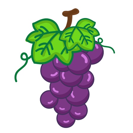 fruit Grapes isolated illustration on white backgroundのイラスト素材