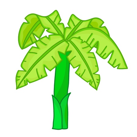 Banana tree isolated illustration on white backgroundのイラスト素材