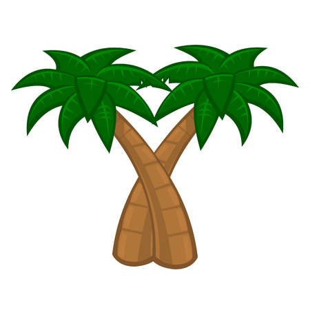 Coconut palm tree on white backgroundのイラスト素材