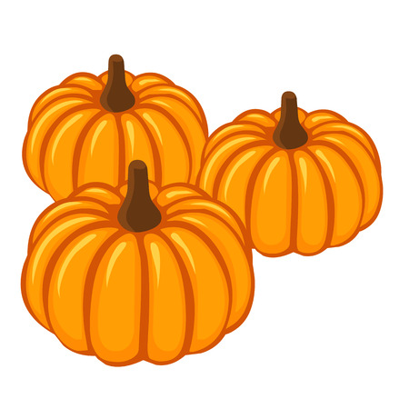 Pumpkin isolated illustration on white backgroundのイラスト素材