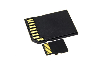 Black SD and micro SD memory card isolated on white background