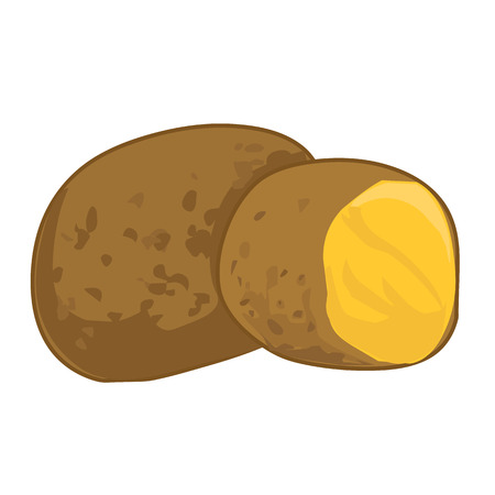 potato isolated illustration on white backgroundのイラスト素材