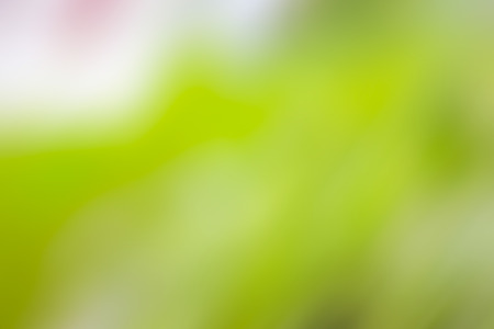 abstract blur backgroundの写真素材