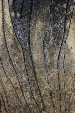 old cement wall textureの写真素材