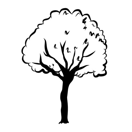 Sketch line drawing of tree isolated illustration on white backgroundのイラスト素材