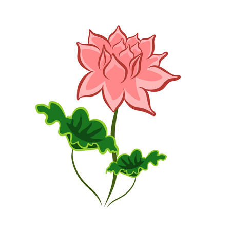 lotus flower isolated illustration on white backgroundのイラスト素材