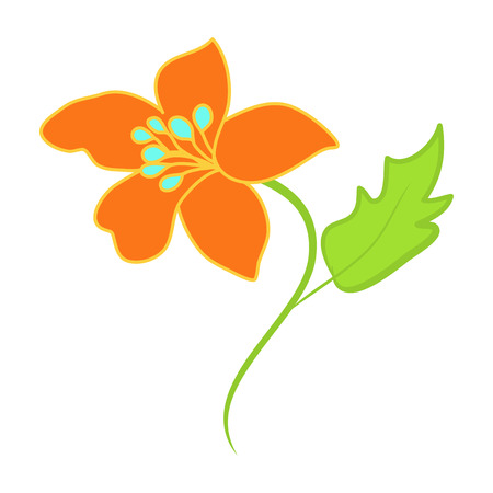 orange flower isolated illustration on white backgroundのイラスト素材