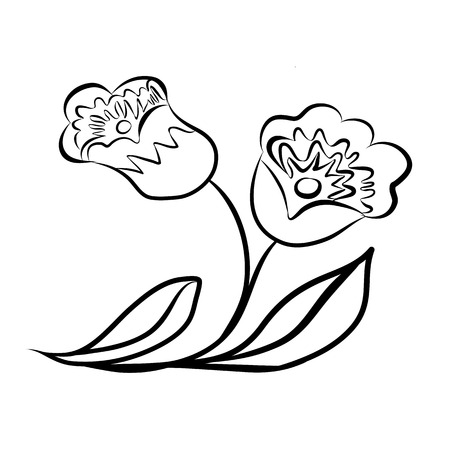 Sketch line drawing of flower isolated illustration on white backgroundのイラスト素材