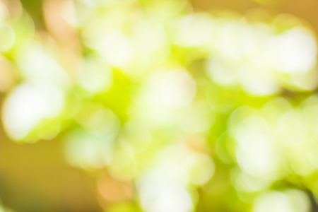 green bokeh abstract light blur background